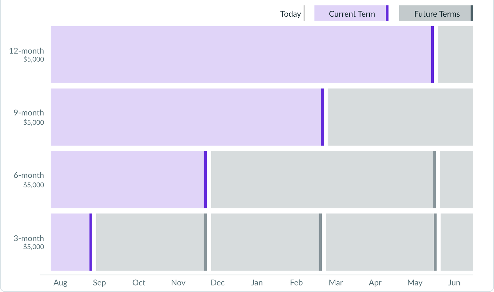 CD Schedule visualization: four stacked bars for 3, 6, 9 and 12-month certificates, showing current term in purple and future terms in grey against a monthly timeline